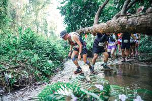 BIB: 
                            <button type="button" onclick="openModal(25462119)" class="btn btn-primary btn-sm float-right btn-popup" data-toggle="modal" data-target=".modal-high-quality">
                        <i class="fas fa-shopping-cart"></i> Add to Cart
                    </button>
                                            <button type="button" onclick="isThisMe(25462119, true)" class="btn btn-success btn-sm float-right btn-popup btn-isme hidden" data-toggle="tooltip" data-placement="bottom" title="นี่คือรูปของคุณใช่ไหม คลิกที่นี่เพื่อเอาเข้าอัลบั้ม">
                        <i class="fas fa-plus"></i> Add to album
                    </button>
                    <button type="button" onclick="isThisMe(25462119, false)" class="btn btn-warning btn-sm float-right btn-popup btn-isnotme hidden">
                        <i class="fas fa-ban"></i> Remove from album
                    </button>